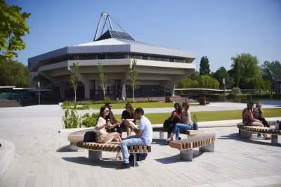 City College, the University of York Europe — kampus i studenti