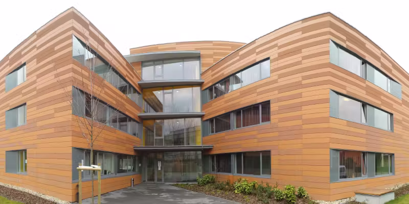 International Business School - IBS — kampus i studenti